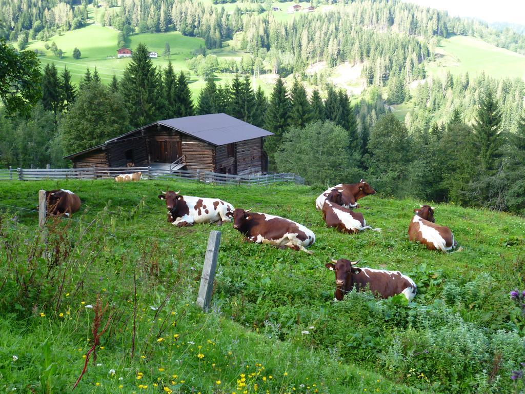 Appartements Oberhof Wagrain Zewnętrze zdjęcie