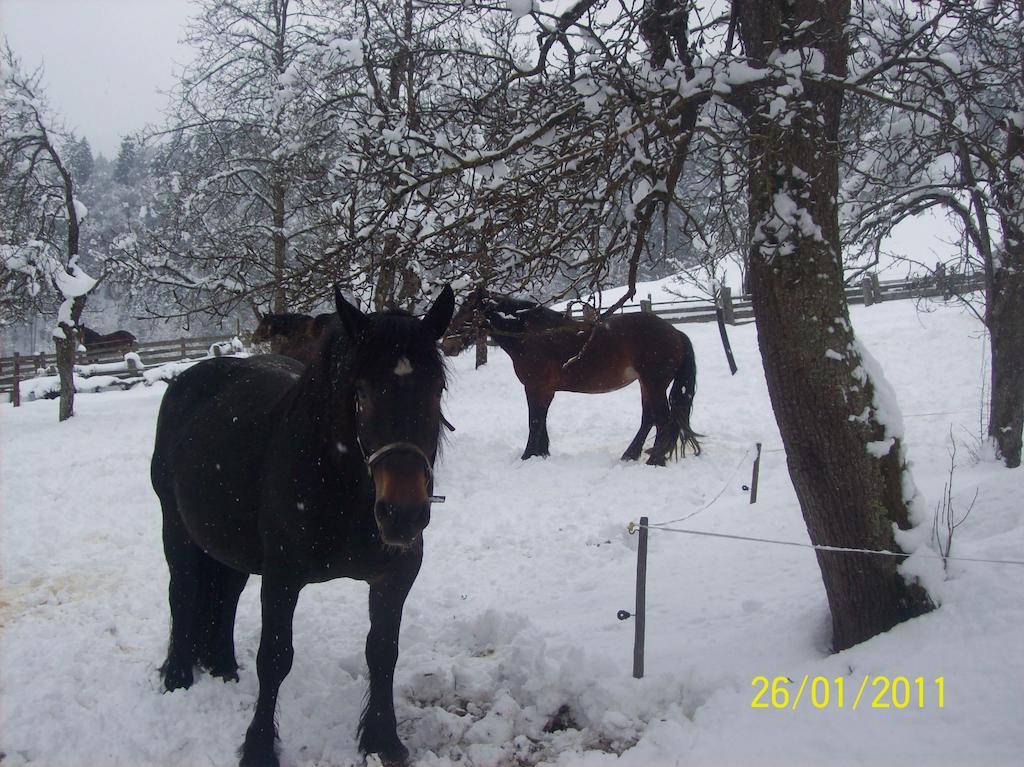 Appartements Oberhof Wagrain Zewnętrze zdjęcie