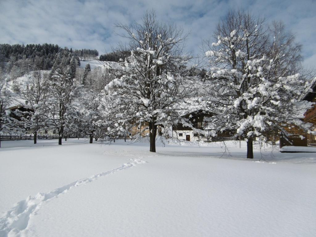 Appartements Oberhof Wagrain Zewnętrze zdjęcie